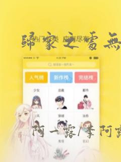 归家之处无恋情