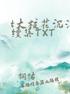 t大校花沉浮录续集TXT