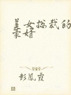 美女总裁的顶级豪婿