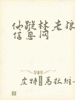 仙踪林老狼贰佰信息网