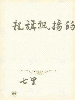 龙旗飘扬的舰队