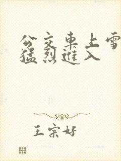 公交车上雪柔被猛烈进入