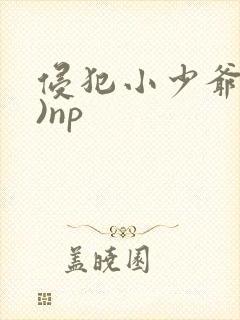 侵犯小少爷(H)np