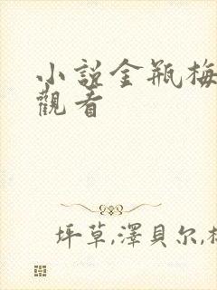 小说金瓶梅在线观看