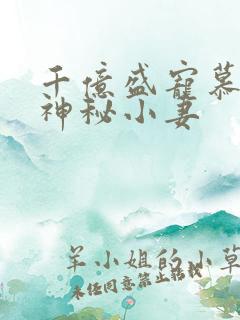 千亿盛宠慕少的神秘小妻