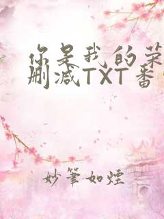 你是我的荣耀未删减TXT番外