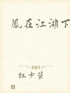 凤在江湖下载