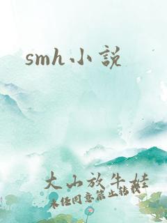 smh小说