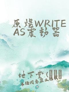 原炀WRITE AS震动器