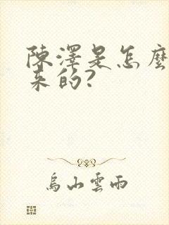 陈泽是怎么火起来的?