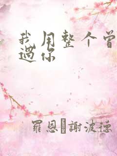 我用整个曾经爱过你