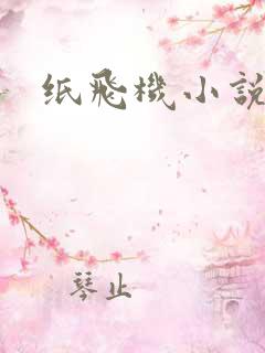 纸飞机小说