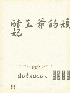 酷王爷的顽皮王妃