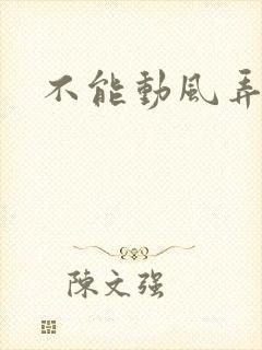 不能动风弄