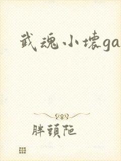 武魂小坏ga