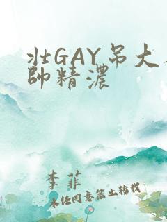 壮GAY吊大人帅精浓