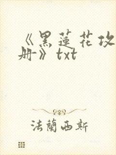 《黑莲花攻略手册》txt