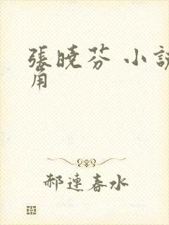 张晓芬 小说主角