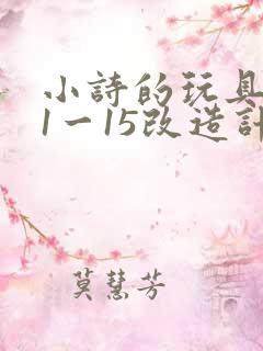 小诗的玩具日记1一15改造计划