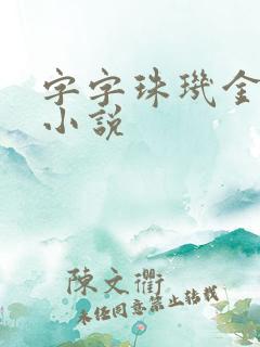 字字珠玑金银花小说