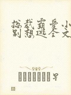 总裁霸爱小娇妻别想逃全文阅读免费