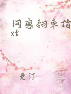 网恋翻车指南txt