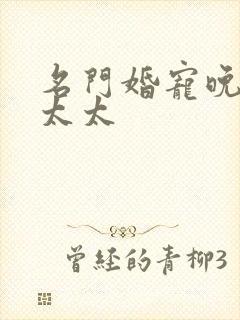 名门婚宠晚安赫太太