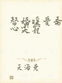 替婚暖爱乔少的心尖宠