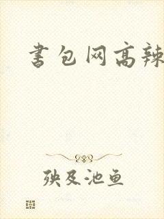 书包网高辣文