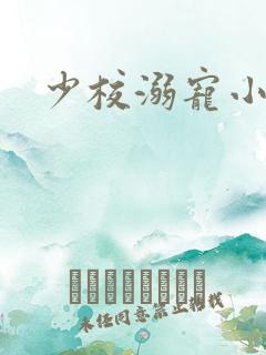 少校溺宠小小妻