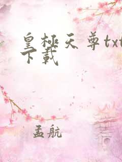 皇极天尊txt下载