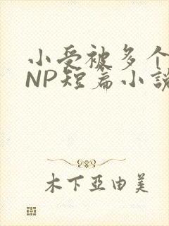 小受被多个攻强NP短篇小说