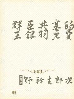 群臣共享的小公主银羽免费阅读