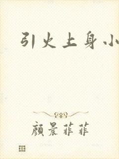 引火上身小说