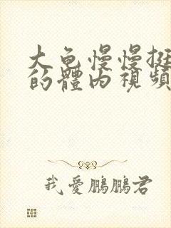 大龟慢慢挺进我的体内视频