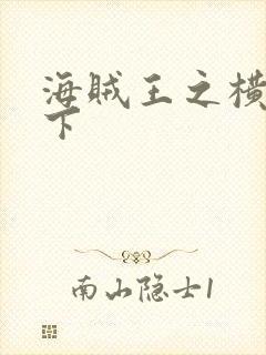 海贼王之横行天下