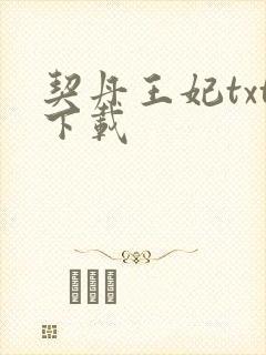 契丹王妃txt下载