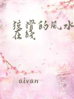 狡猾的风水相师在线