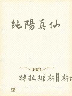 纯阳真仙