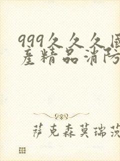 999久久久国产精品消防器材