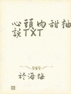 心头肉甜柚子小说TXT