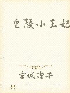 皇陵小王妃