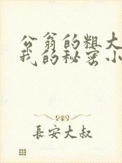 公翁的粗大放进我的秘密小说