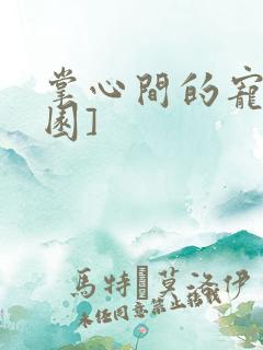 掌心间的宠[校园]