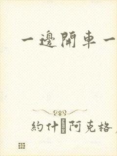 一边开车一边做