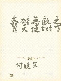 英雄无敌之十二翼天使txt下载