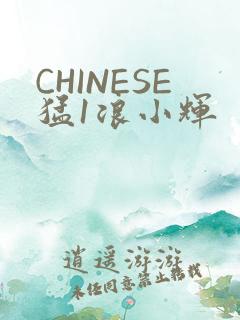 CHINESE猛1浪小辉