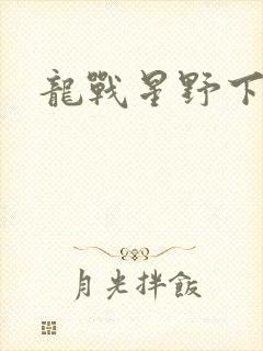 龙战星野下载