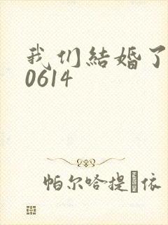 我们结婚了130614