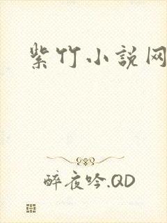 紫竹小说网